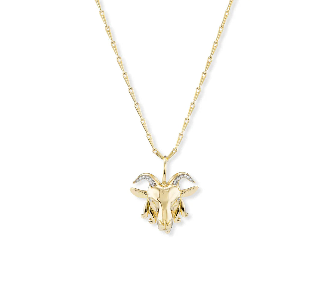 Capricorn Pendant