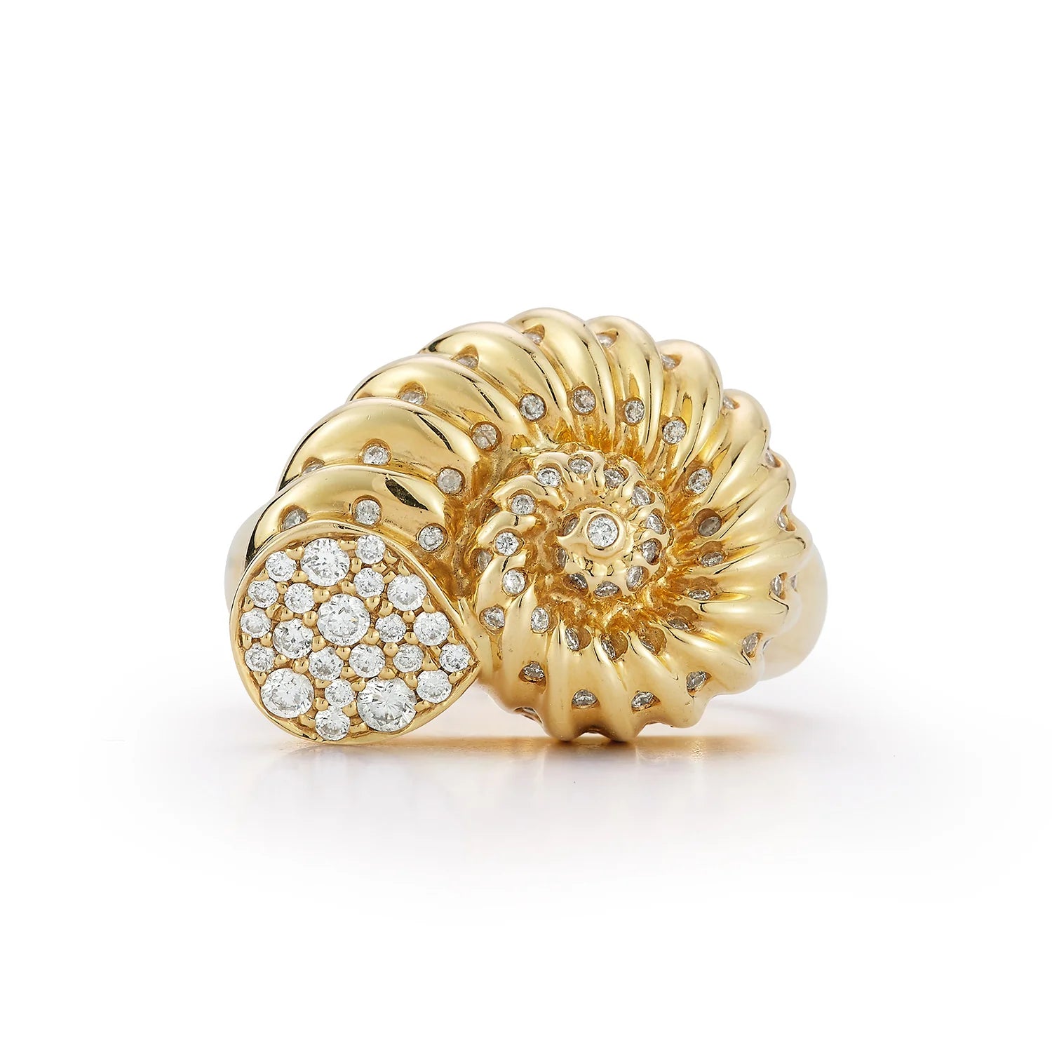 Nautilus Ring
