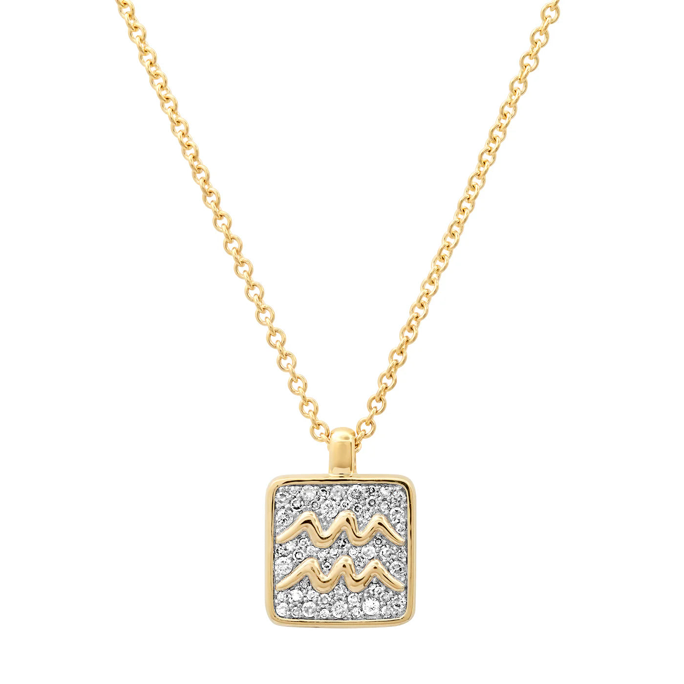 The Zodiac Necklaces