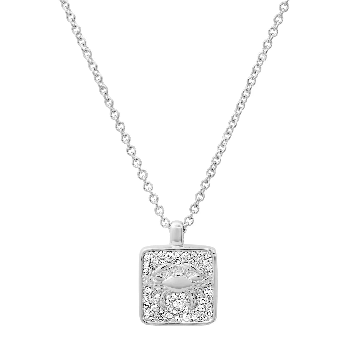 The Zodiac Necklaces