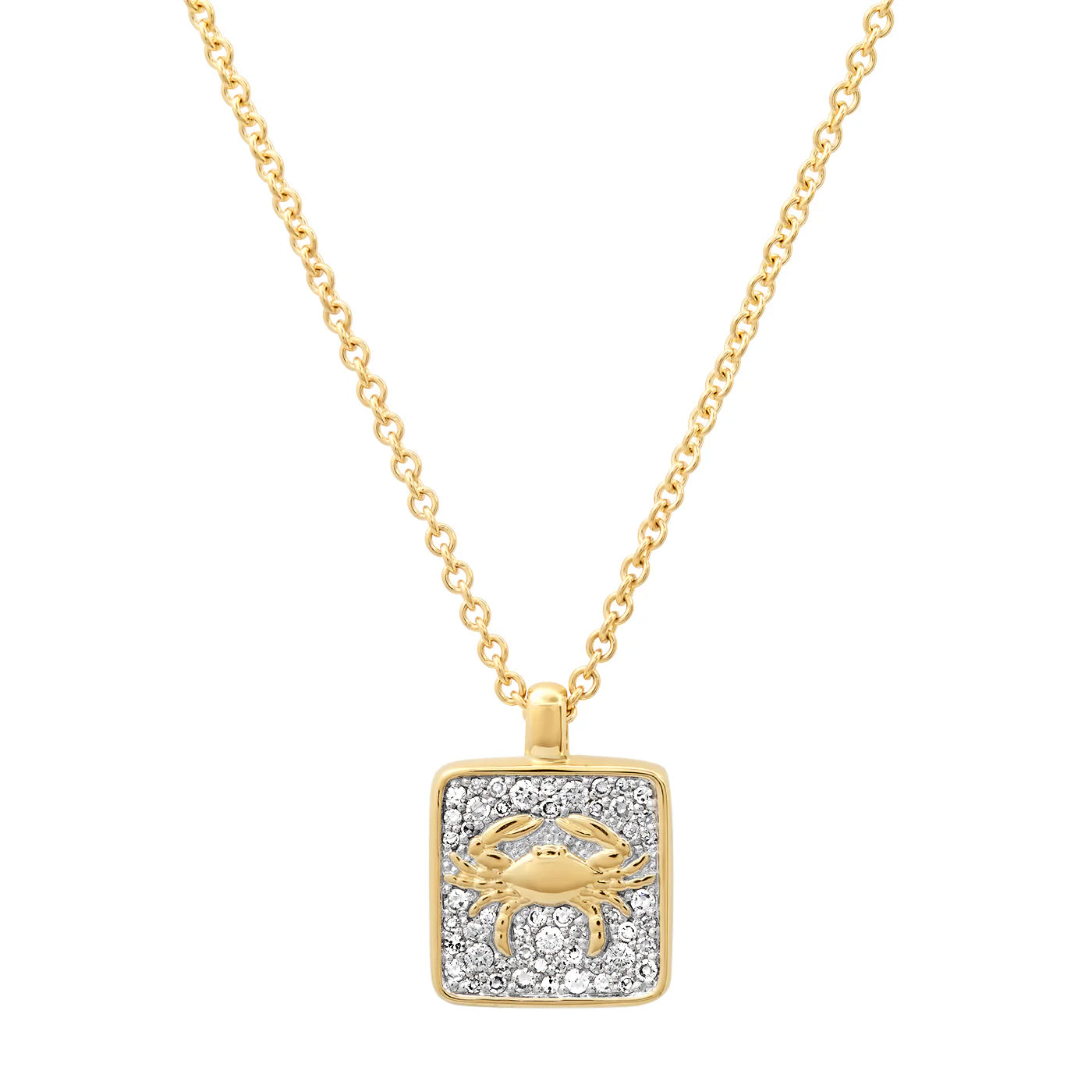 The Zodiac Necklaces