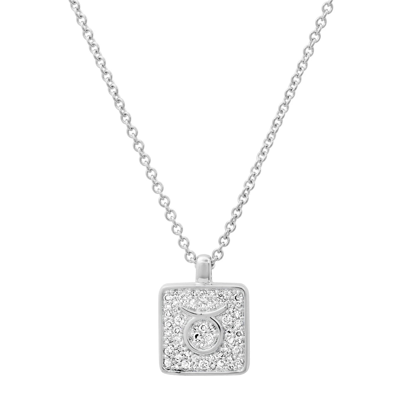 The Zodiac Necklaces