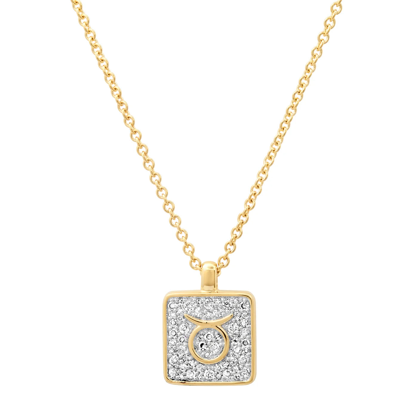 The Zodiac Necklaces