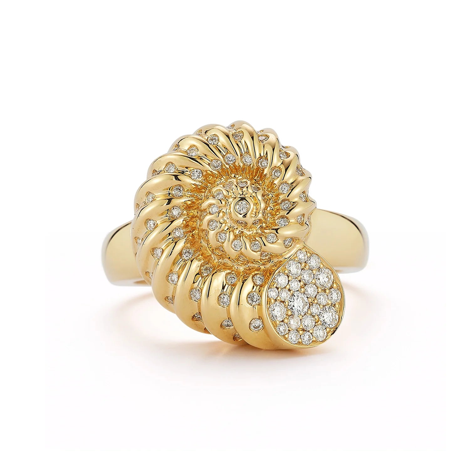 Nautilus Ring