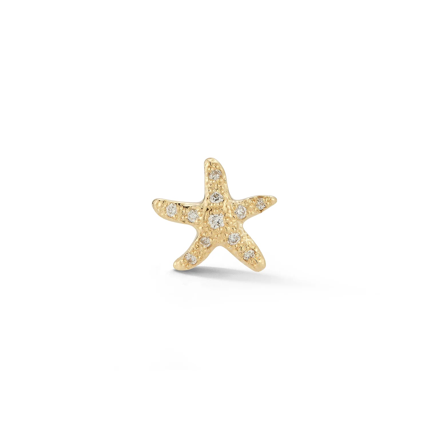 Starfish stud