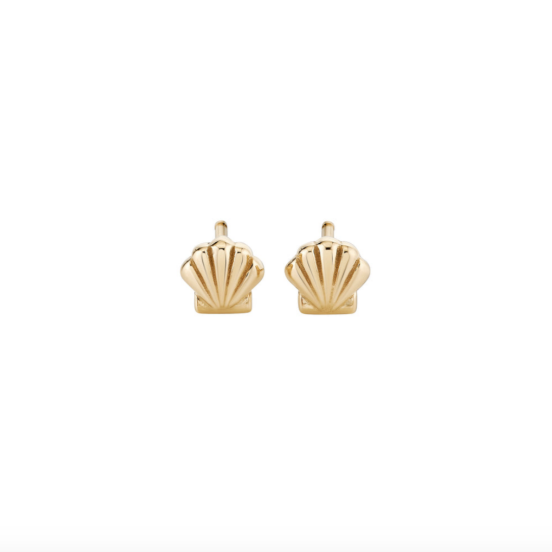 Petite Scallop Shell Studs