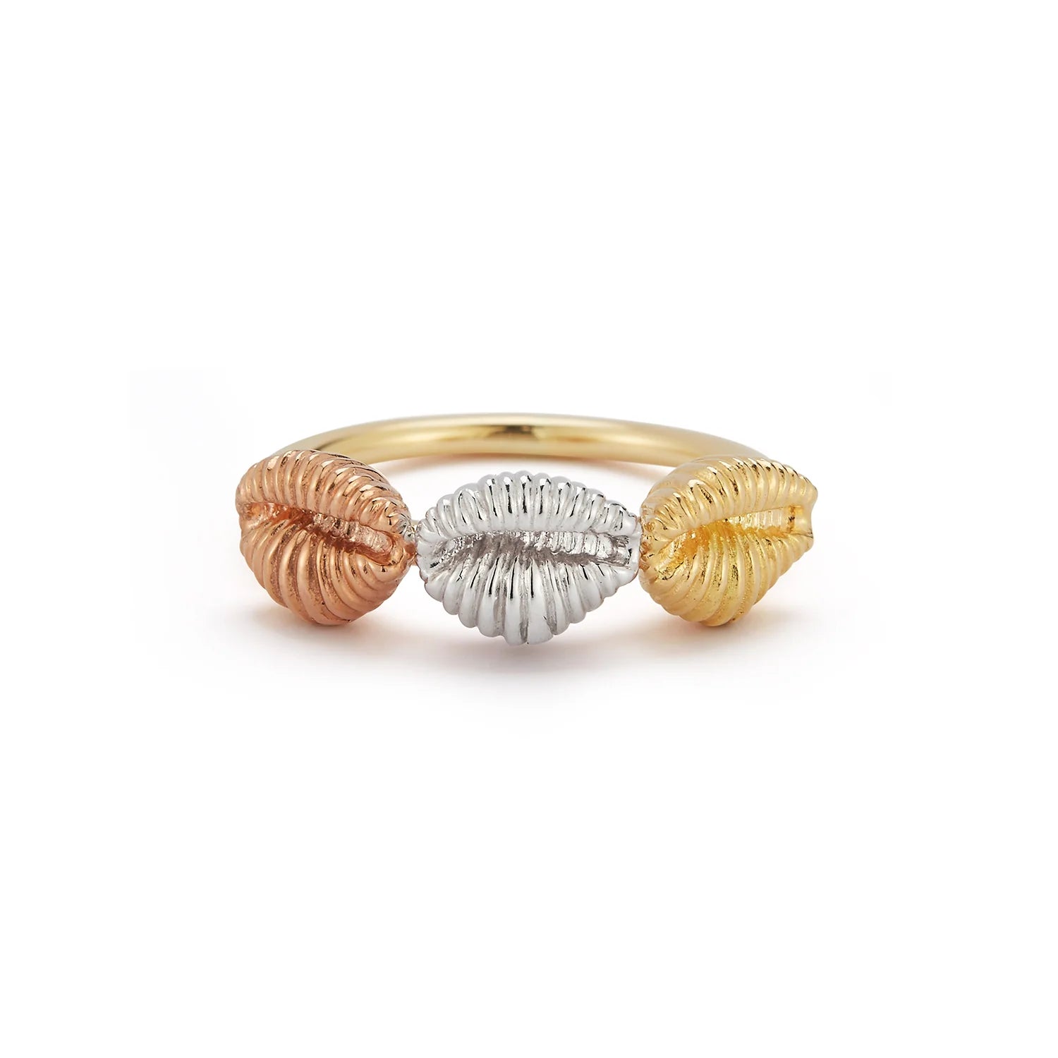 3 baby shells ring