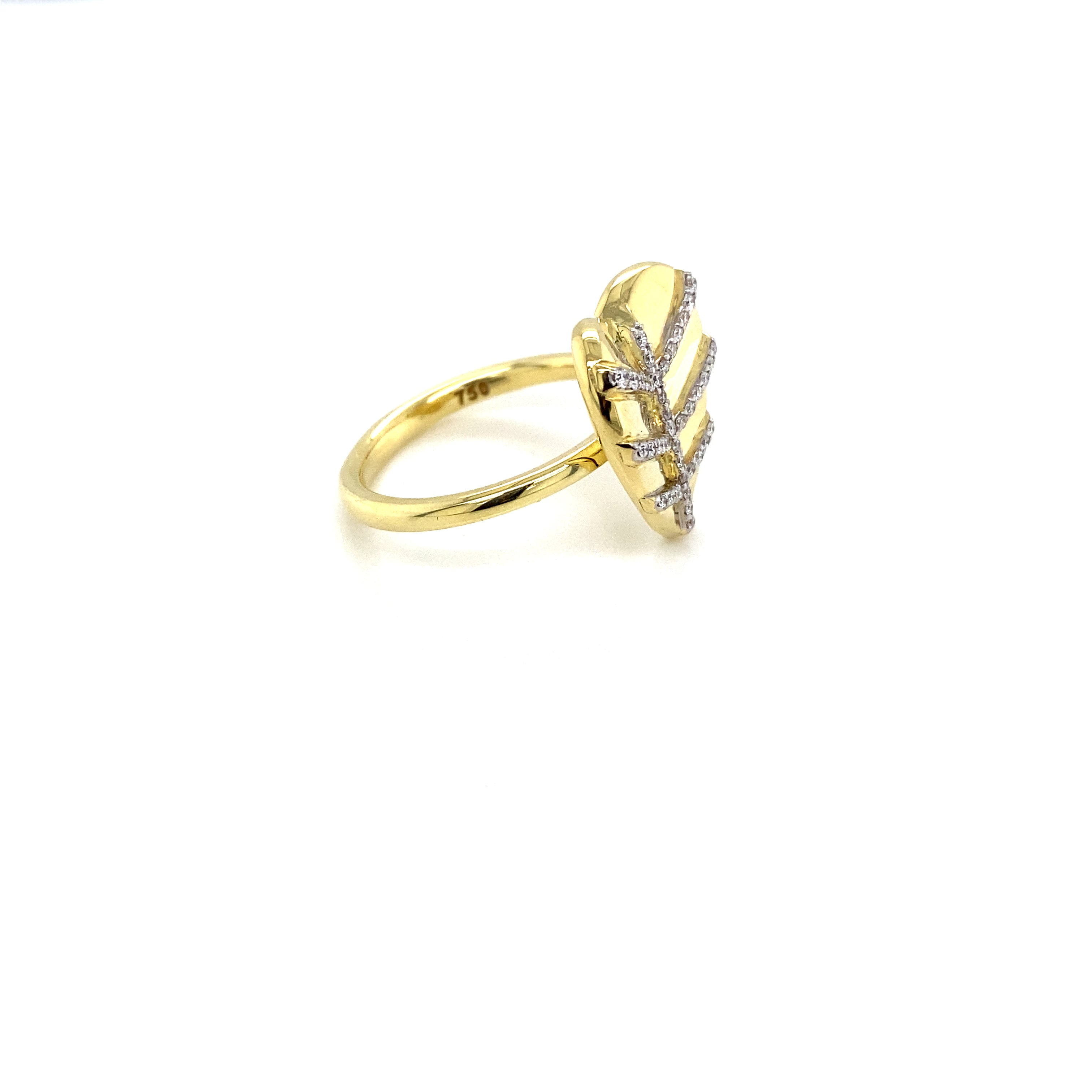 MDL Gold Ring