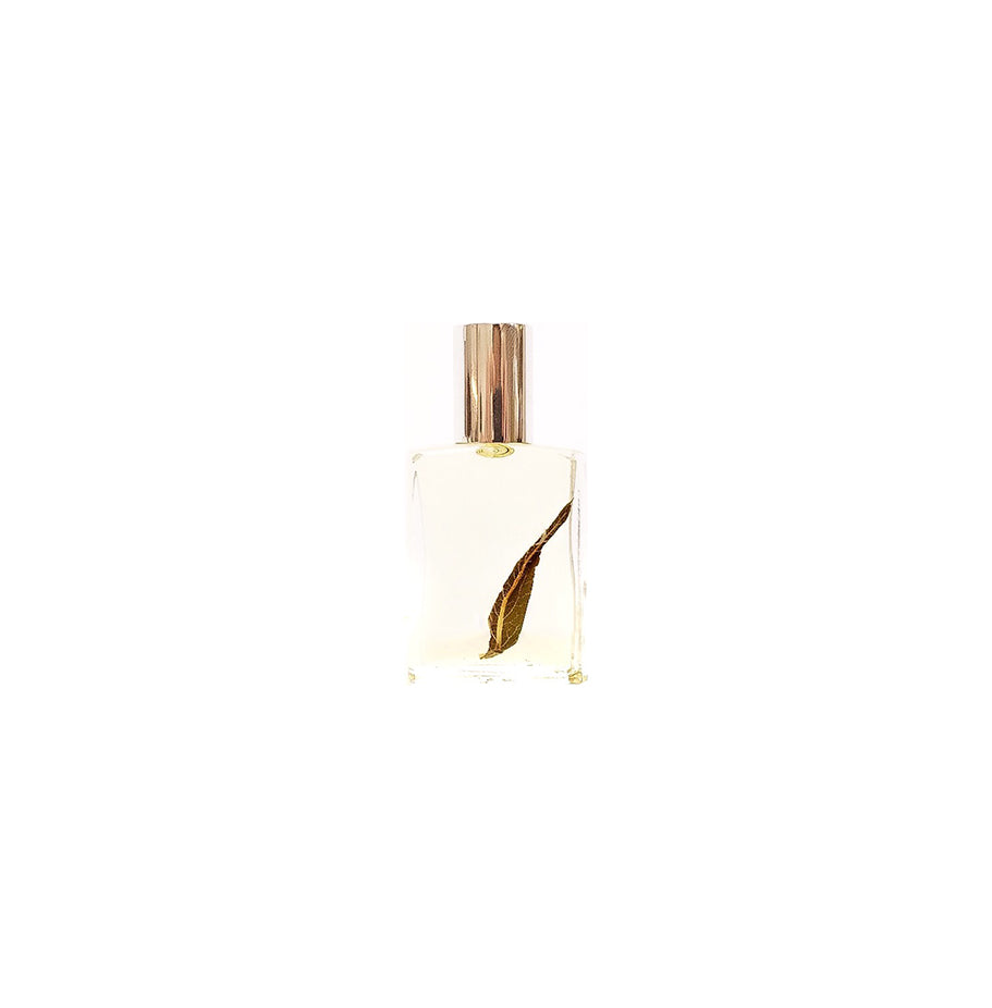 Perfumed Oil - Matthias Scent