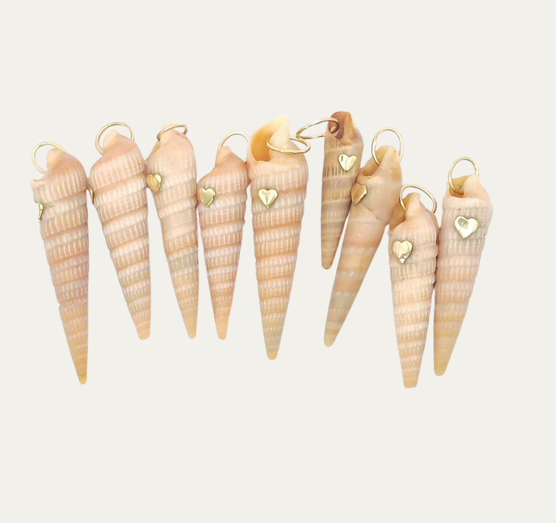 Auger Shell Pendant