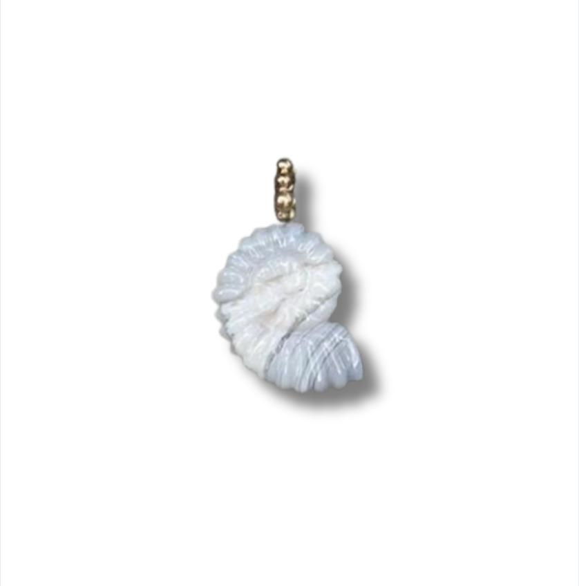 One of a Kind Carved Shell Charm