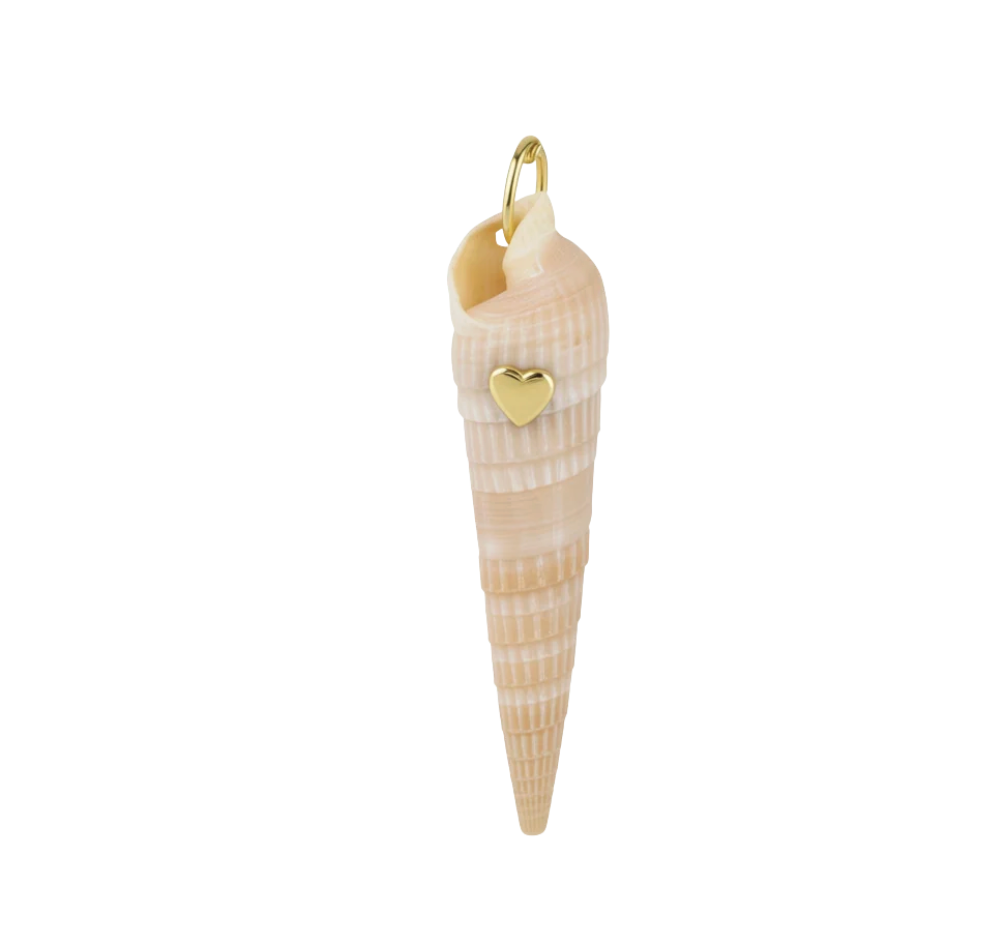 Auger Shell Pendant