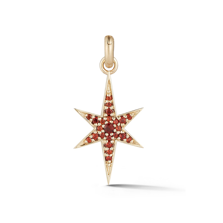 14K Gold and Garnet Star Charm