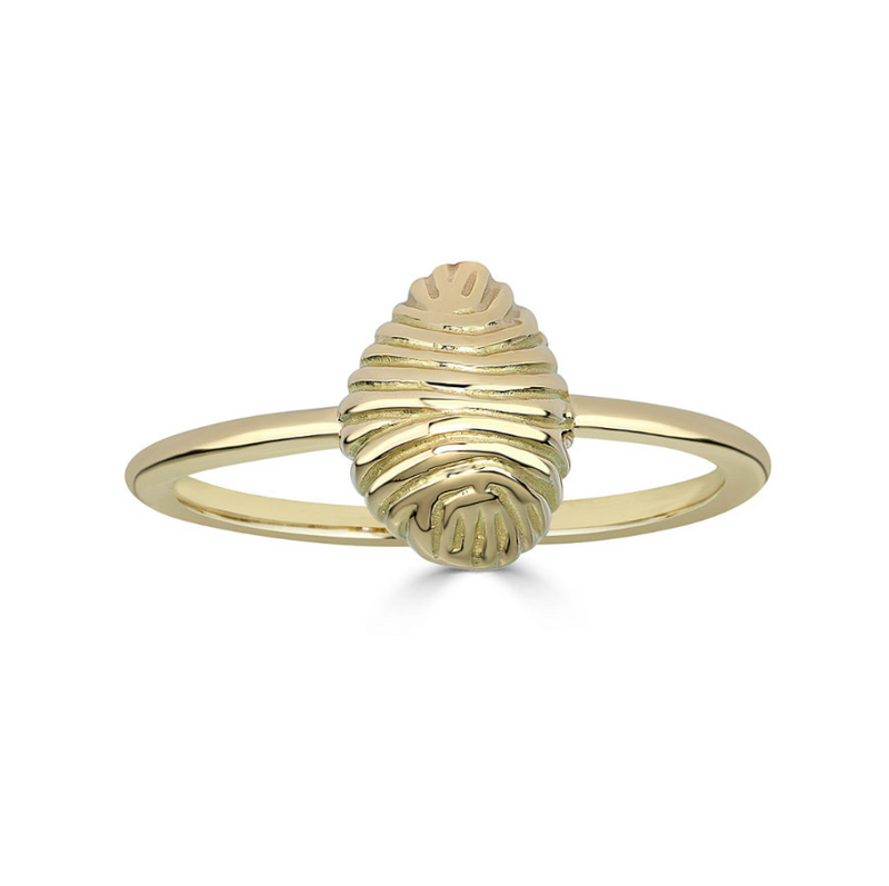 LARGE THREAD AND SHELL RING